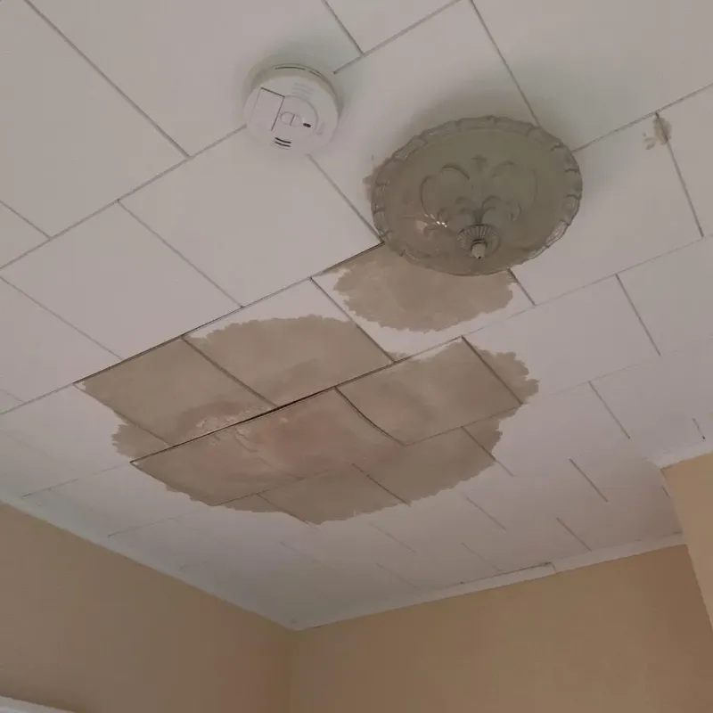 Ceiling Water Damage Repair in Grill, PA