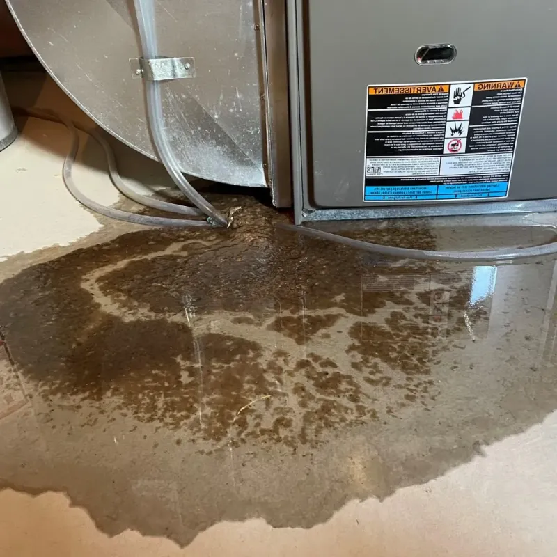 Pipe Burst and Leak Restoration in Grill, PA