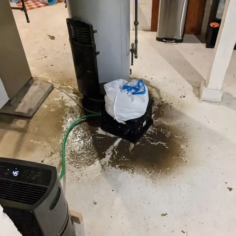 Sewage Backup Cleanup Service in Grill, PA
